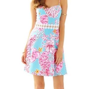 Lilly Pulitzer Lenore Lolita dress